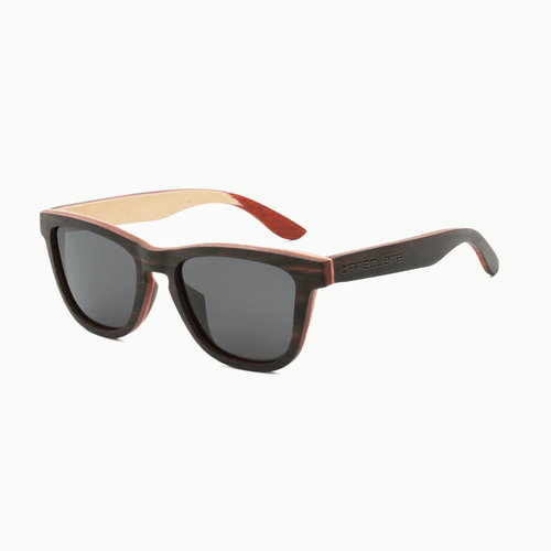 Clas Sonnenbrille Schwarz Braun